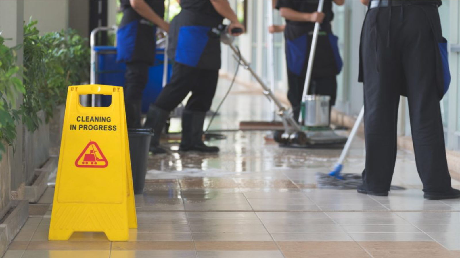 Commercial office cleaning service